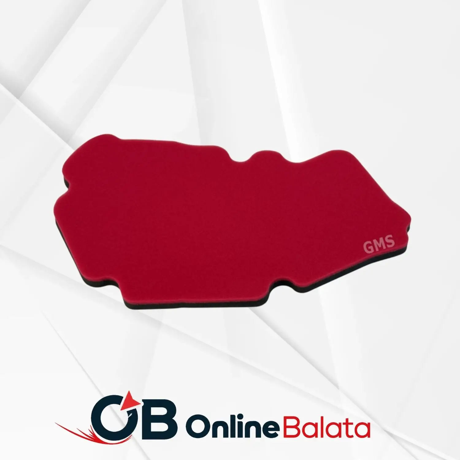 RKS Vieste 249 Hava Filtresi Sünger GVS04